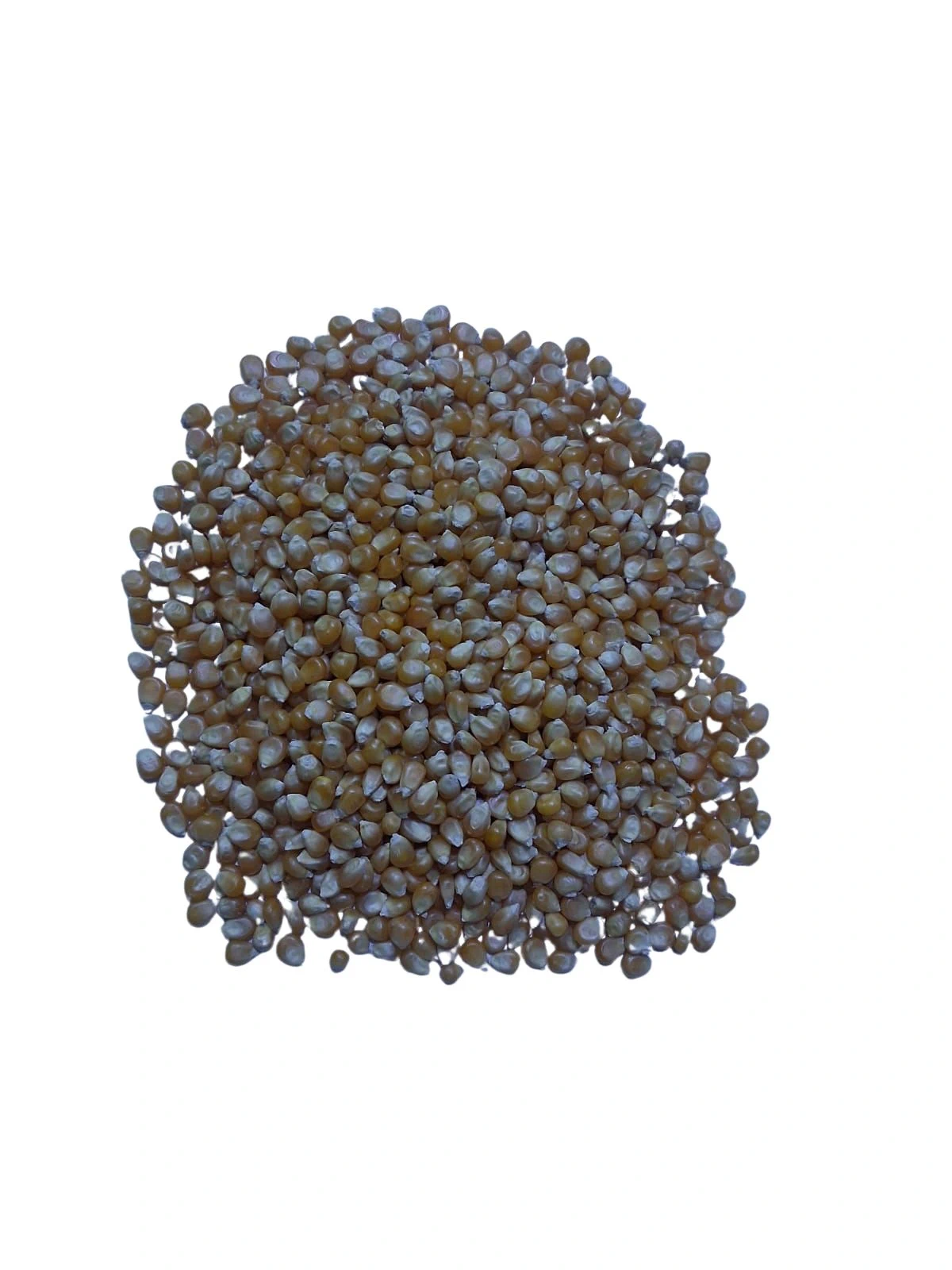 pop corn