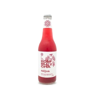 Kombucha frutos rojos 269ml
